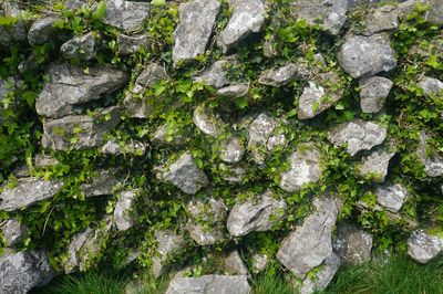 Full frame shot of rocks