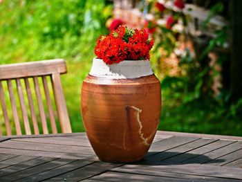 Close-up of potted plant on table