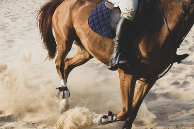 Low section of man riding horse