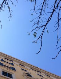 Low angle view of bare trees against blue sky