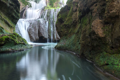 Scenic view of waterfall in forest