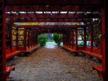 Road amidst trees during autumn