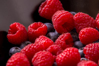 Close-up of red and black berries