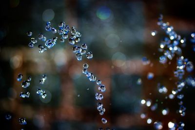 Close-up of water drops on leaves