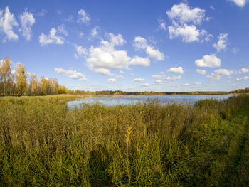 Scenic view of field against sky