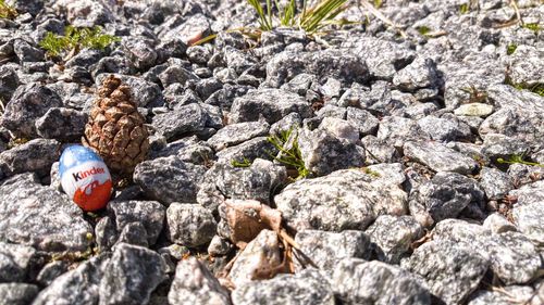 Close-up of stones on rock