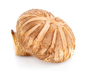 Close-up of bread against white background