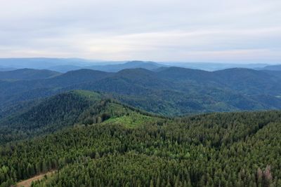 Black forest aerial landscape photography