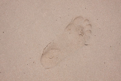 High angle view of footprints on sand at beach