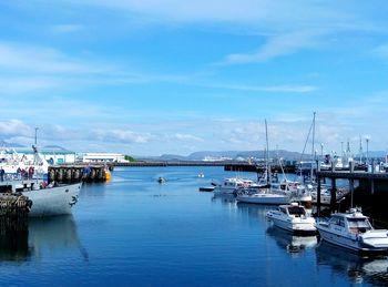 Boats moored at harbor against sky