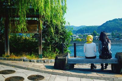 Rear view of woman sitting on retaining wall against trees