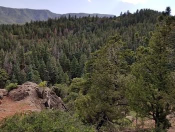 Scenic view of tree mountains against sky