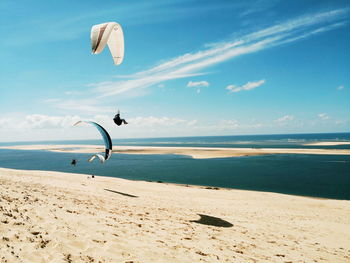 Kite flying over beach