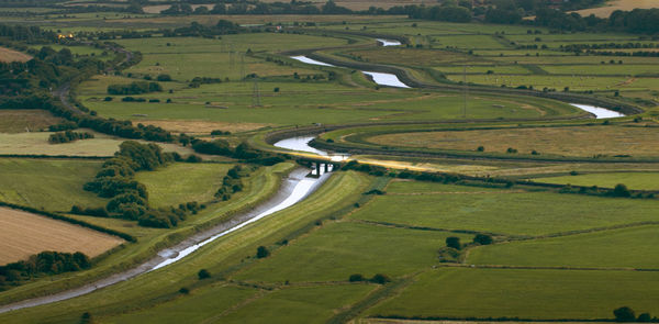 High angle view of agricultural field