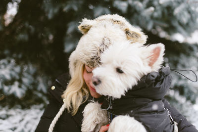 Portrait of a dog on snow