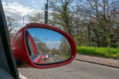 Reflection of trees on side-view mirror