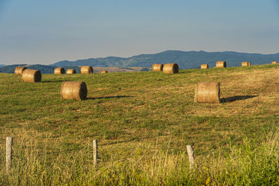 Hay bales on field against sky