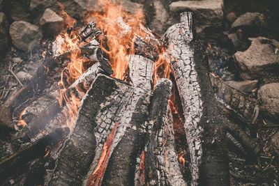 High angle view of fire on log