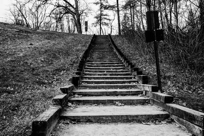 Steps and bare trees against sky