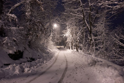 Snow covered road amidst trees in city at night