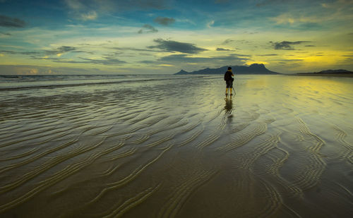 Rear view of man standing at beach during sunset