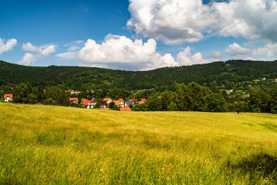 Scenic view of field against sky