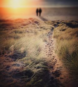 Full length of man walking on sand at beach