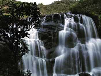 Scenic view of waterfall in forest