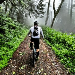 Rear view of man cycling in forest