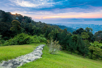 Scenic view of landscape against sky