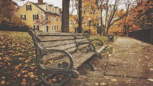 Empty benches by footpath during autumn