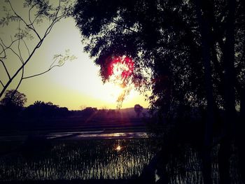 Scenic view of sunset over river