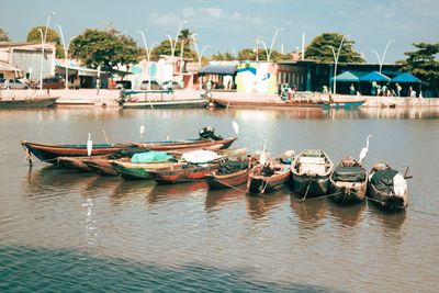 Boats moored in harbor