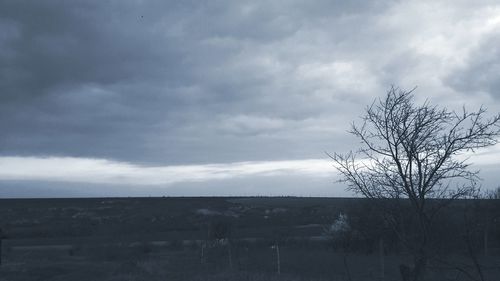 Bare tree on field against sky