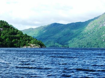 View of calm lake against lush foliage