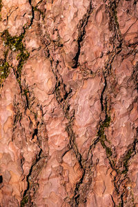 Full frame shot of rocks