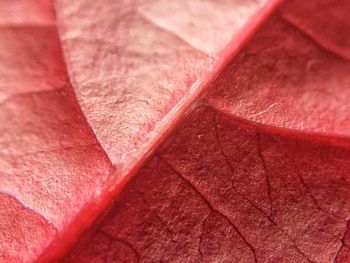 Full frame shot of red wall