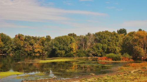 Scenic view of lake by trees against sky