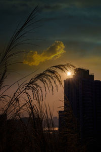 Low angle view of silhouette buildings against sky during sunset