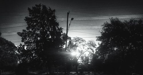 Low angle view of trees against sky
