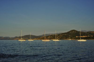 Sailboats in sea against sky