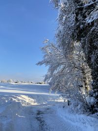 Snow covered land and trees against sky