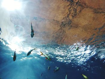 Low angle view of people swimming in sea