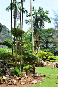 View of trees on landscape against sky