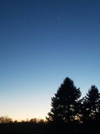 Low angle view of silhouette trees against clear blue sky