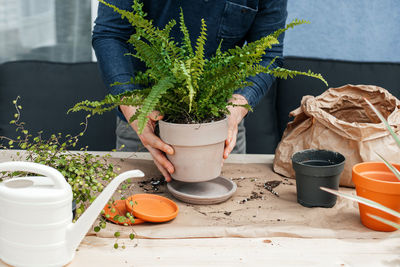 Potted plant on table