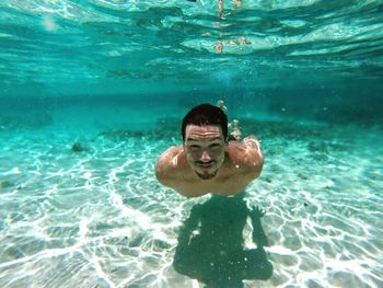 Jellyfish swimming in sea