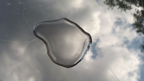 View of jellyfish swimming in sea