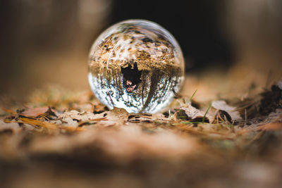 Close-up of crystal ball on field