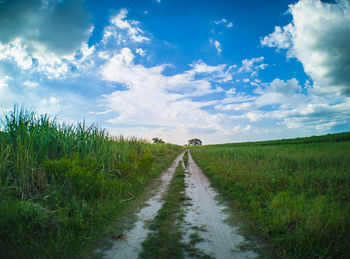 Dirt road amidst field against sky